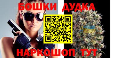 гидра Ливны